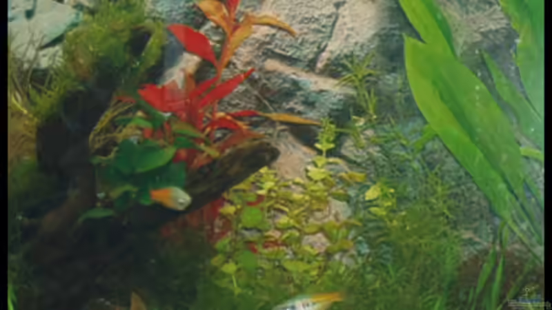 27.10.2008 von Michaela (27)