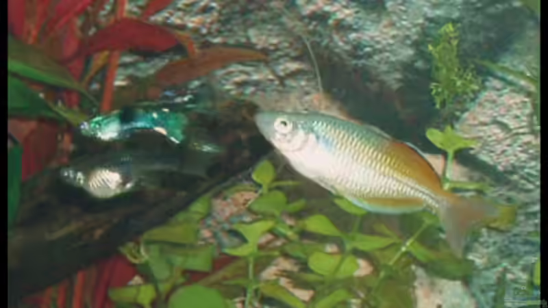 27.10.2008 von Michaela (29)