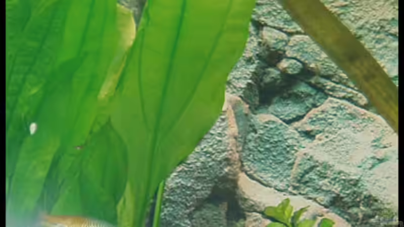 27.10.2008 von Michaela (30)