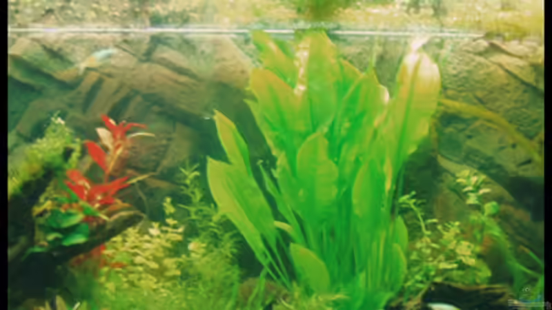 27.10.2008 von Michaela (8)