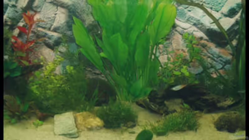 27.10.2008 von Michaela (9)