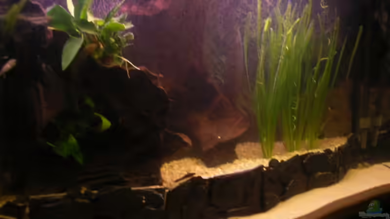 27.11.09 von Jan Meents (3)