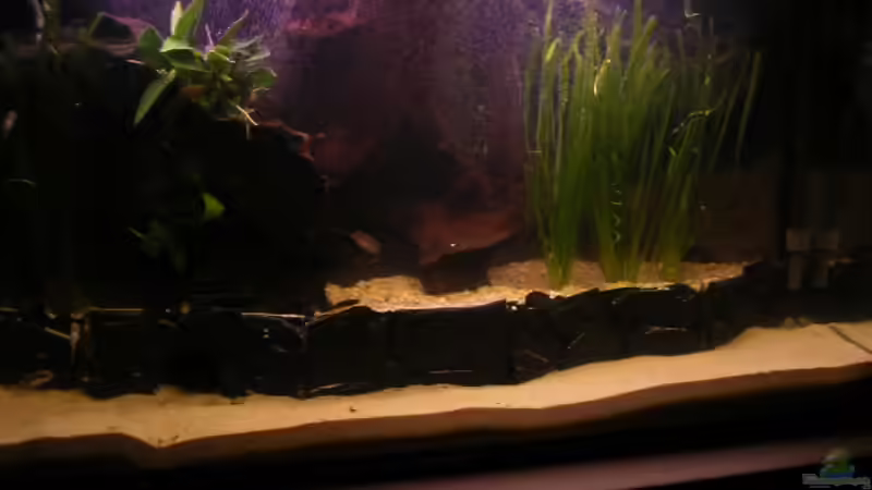 27.11.09 von Jan Meents (4)