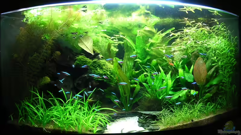 27.11.2011 von Christian Grunwald (6)