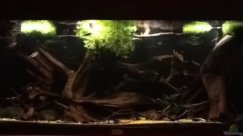 27.12.15 von Jemafa (16)