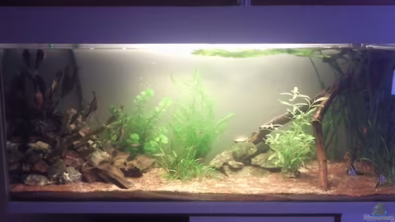 27.12.2011 von ~Danny~ (5)