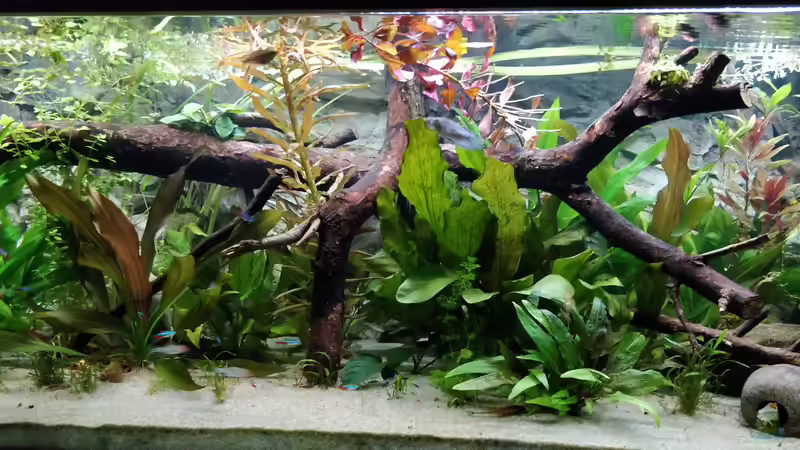 27.3.2019 von Woidma (20)