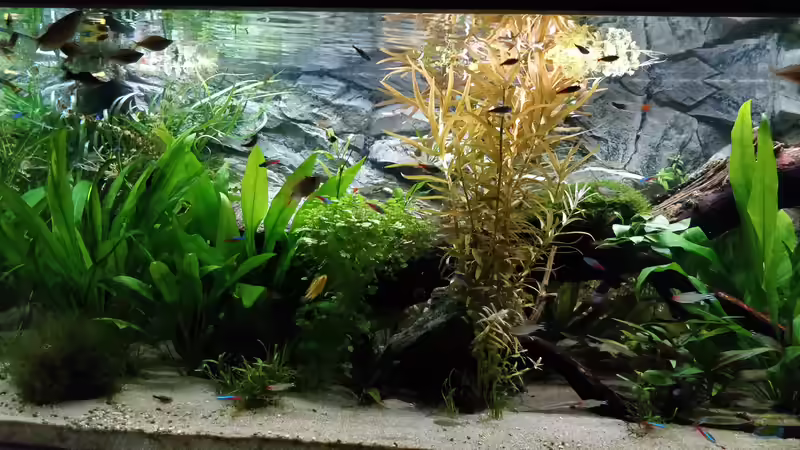 27.3.2019 von Woidma (21)