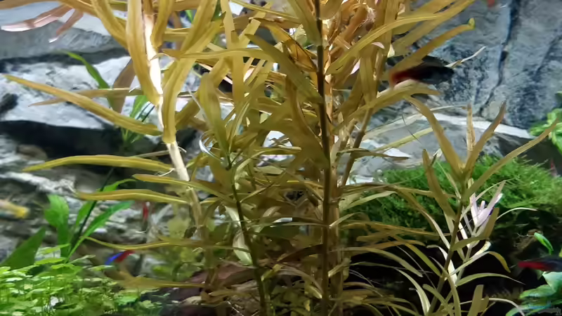 27.3.2019 von Woidma (22)