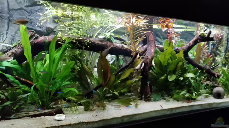 27.3.2019 von Woidma (23)