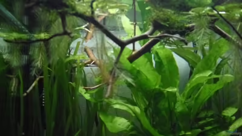 27.4.2010 von Mats (12)