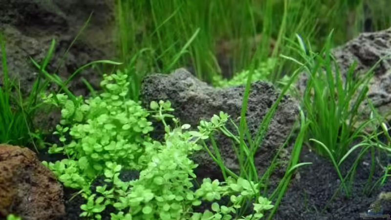 27.4.2010 von Mats (13)