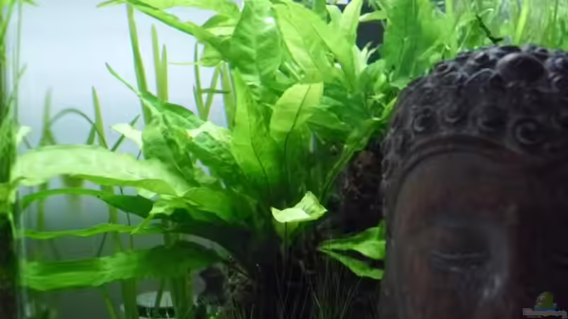 27.4.2010 von Mats (14)