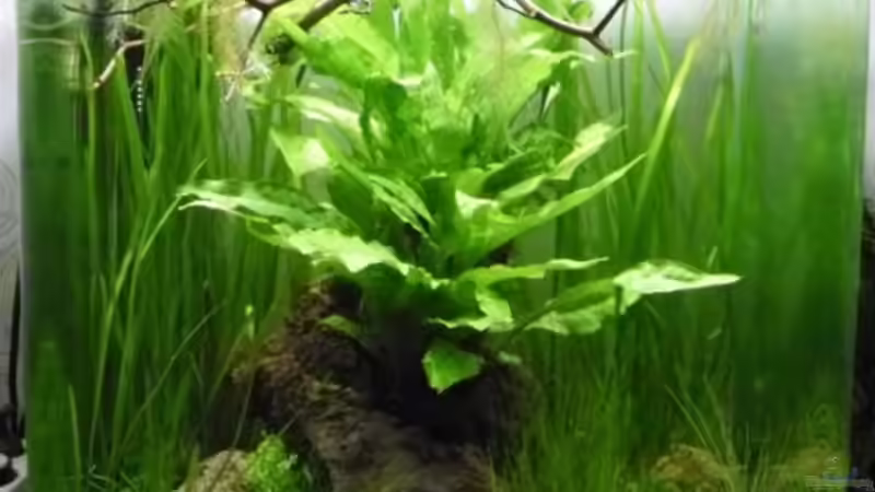 27.4.2010 von Mats (20)