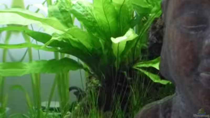 27.4.2010 von rechts von Mats (4)