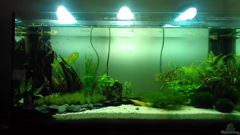 28. 6. 12 von madapusa (13)