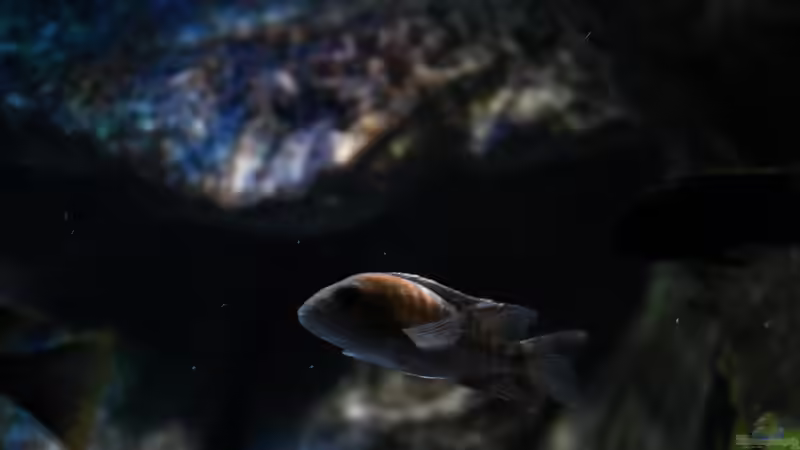 28. Mai 2013 von Marco O. (39)