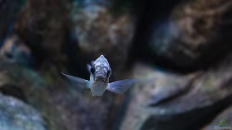 28. Mai 2013 von Marco O. (40)