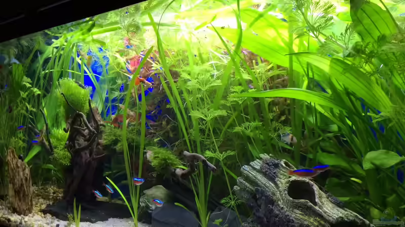 28.01.16 von .Andreas. (14)