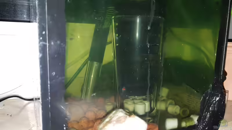 28.01.2019 von Kevin Engelsberger (33)