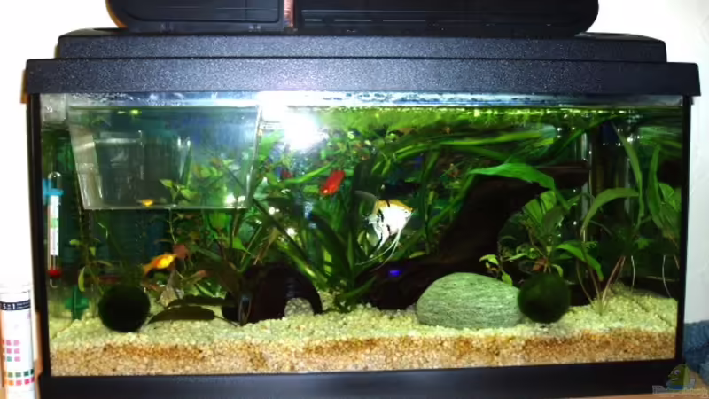 28.02.07 von Martin Ziegele (1)