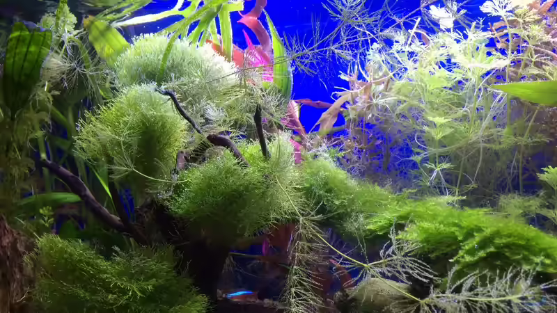 28.02.16 von .Andreas. (50)