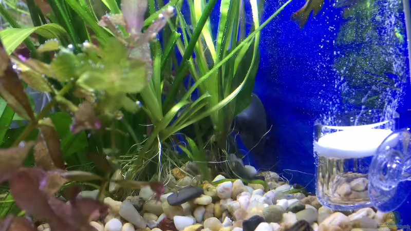 28.02.16 von .Andreas. (82)