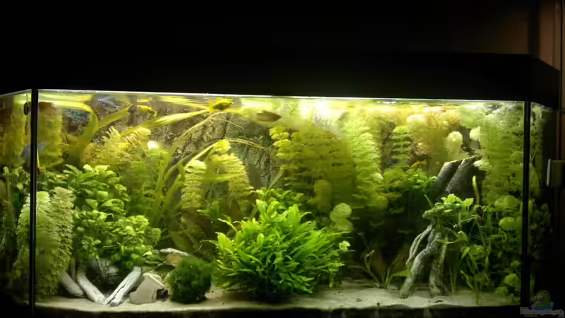 28.02.2011 von Stefan (5)