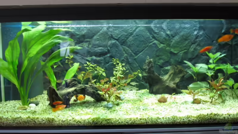 28.03.08 von Frank (2)