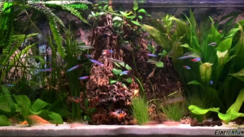 28.03.09 von NlLs M0nt (3)