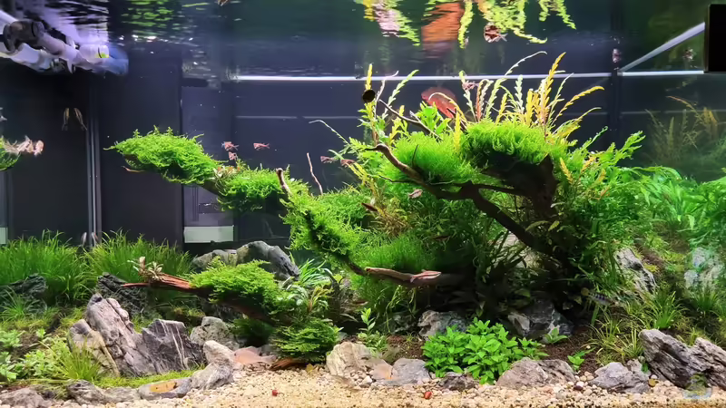 28.03.2022 von Comander (10)