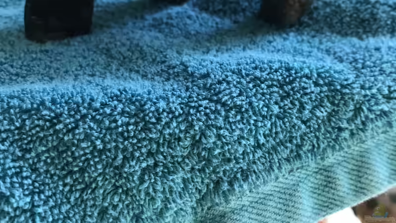 28.03.24 aus Schiefer und Kieselsteinen einen Unterstand für die Stiphodon rutilaureus von herkla (19)