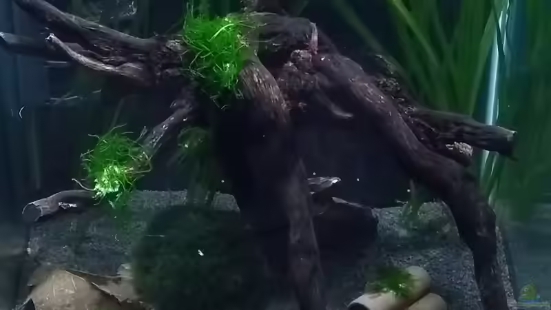 28.04.18 von Stephy (2)