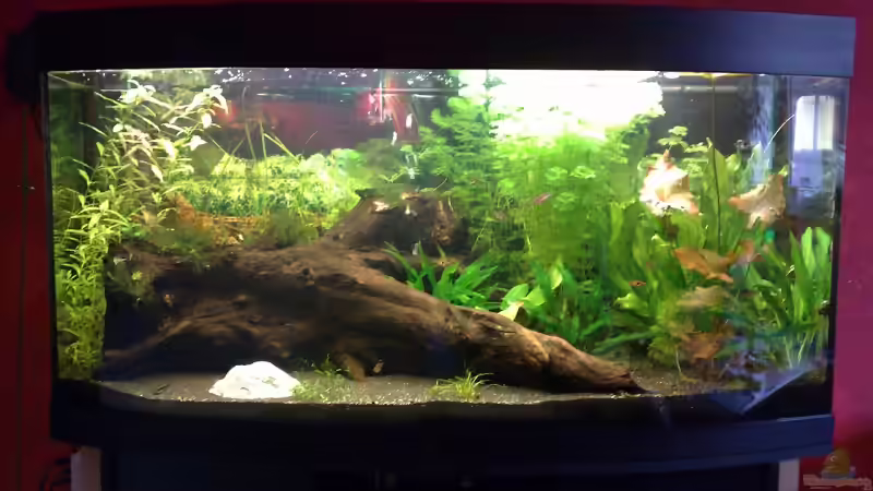 28.04.2009 von Welslau (8)