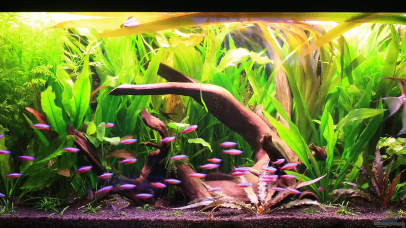 28.04.2014 von semimarinus (15)