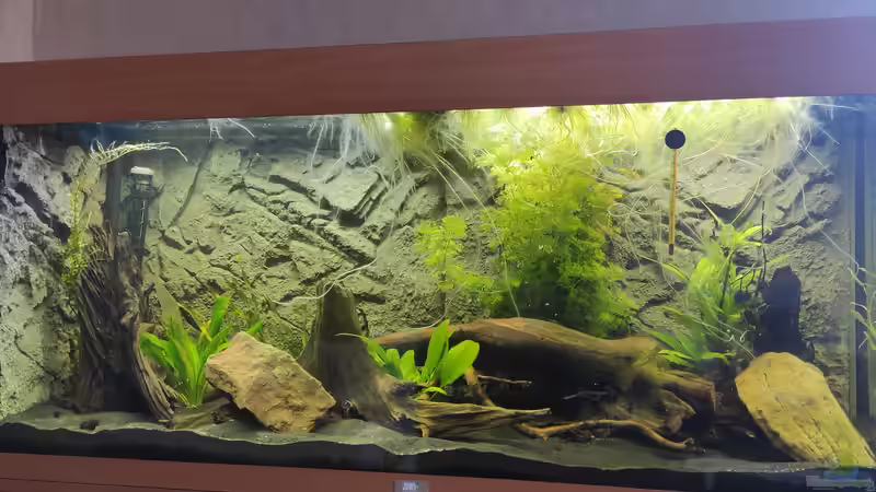 28.04.2021 Die Bakterienblüte ist vorbei. von stephan-k (7)