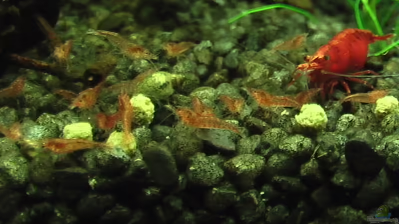 28.05.2010 von Olli N. (28)