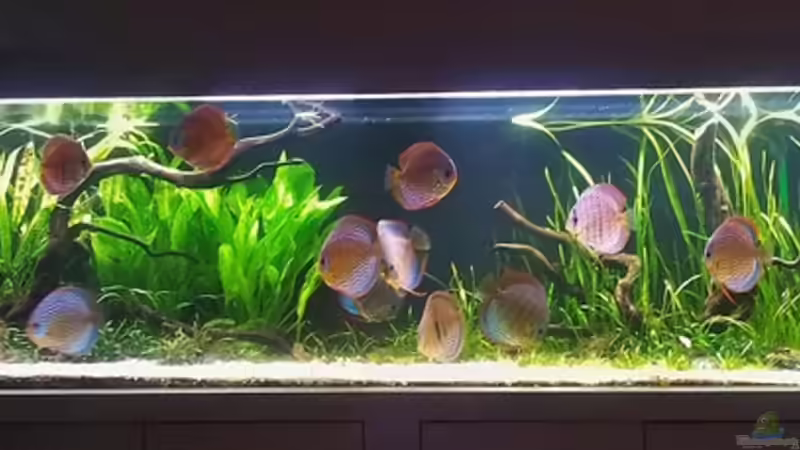 28.05.2012 von Dani B (15)