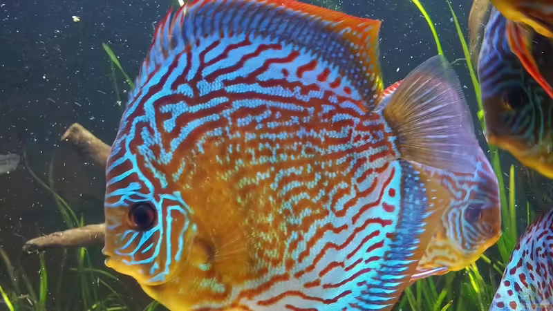 28.05.2012 von Dani B (25)