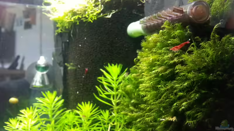 28.05.2013 von M to the ilan (49)