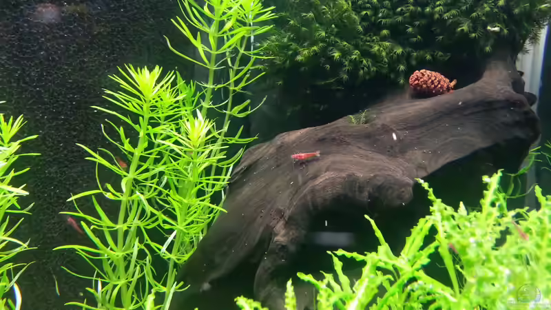 28.05.2013 von M to the ilan (50)