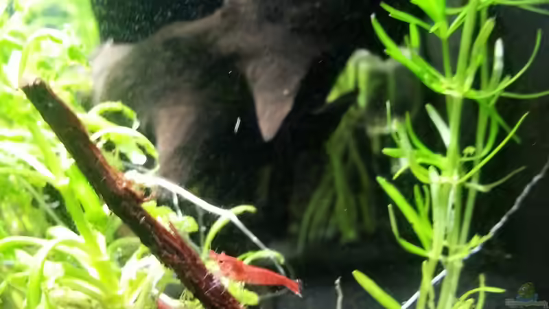 28.05.2013 von M to the ilan (51)