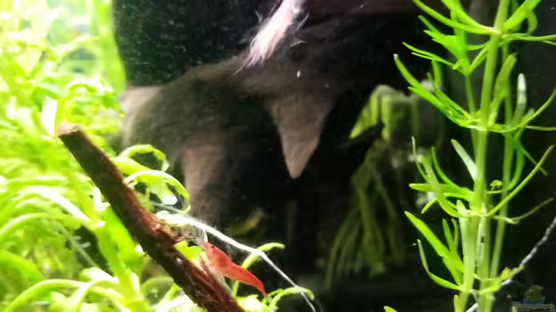 28.05.2013 von M to the ilan (52)