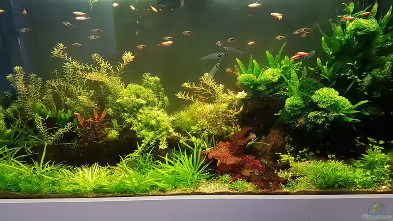 28.05.2020 von Smo (8)