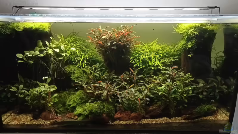 28.05.2023 von Mr-Shrimp (30)