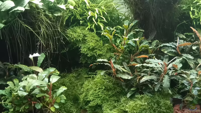 28.05.2023 von Mr-Shrimp (31)