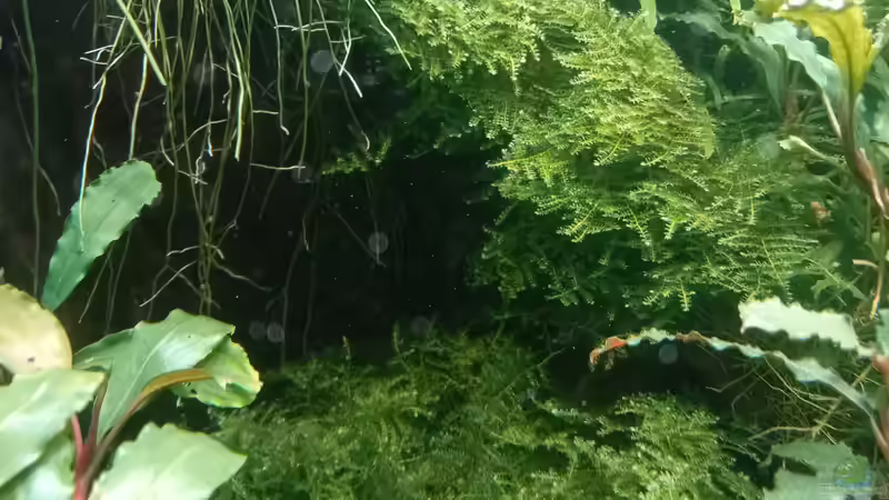 28.05.2023 von Mr-Shrimp (67)