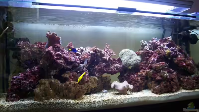 28.06.08  T5 Beleuchtung von Alper Alihsan (4)