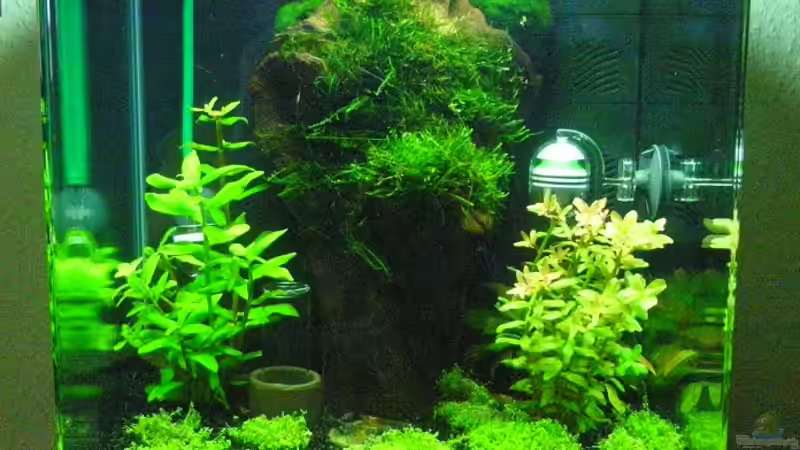 28.06.2013 von easy (2)