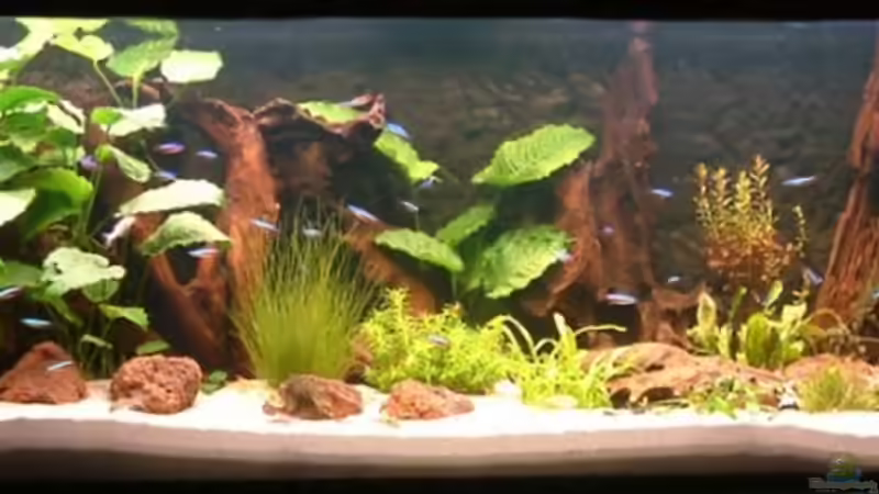 28.07.07 von Oliver Schürmann (1)